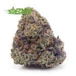 Buy Gorilla Glue #4 AAAA at BudExpressNOW Online