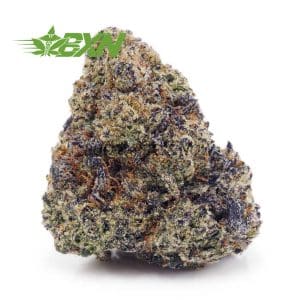 Buy Gorilla Glue #4 AAAA at BudExpressNOW Online