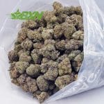 Buy Gorilla Glue #4 AAAA at BudExpressNOW Online