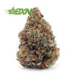 Buy Guava Punch AAA at BudExpressNOW Online Shop.