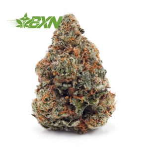 Buy Guava Punch AAA at BudExpressNOW Online Shop.