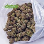 Buy Afghan Kush AA at BudExpressNOW Online