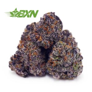 Buy Purple Kush AAAA (Popcorn) at BudExpressNOW Online Shop