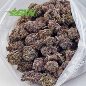 Buy Grape Stomper AAAA at BudExpressNOW Online