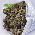 Buy El Jefe AA at BudExpressNOW Online Shop