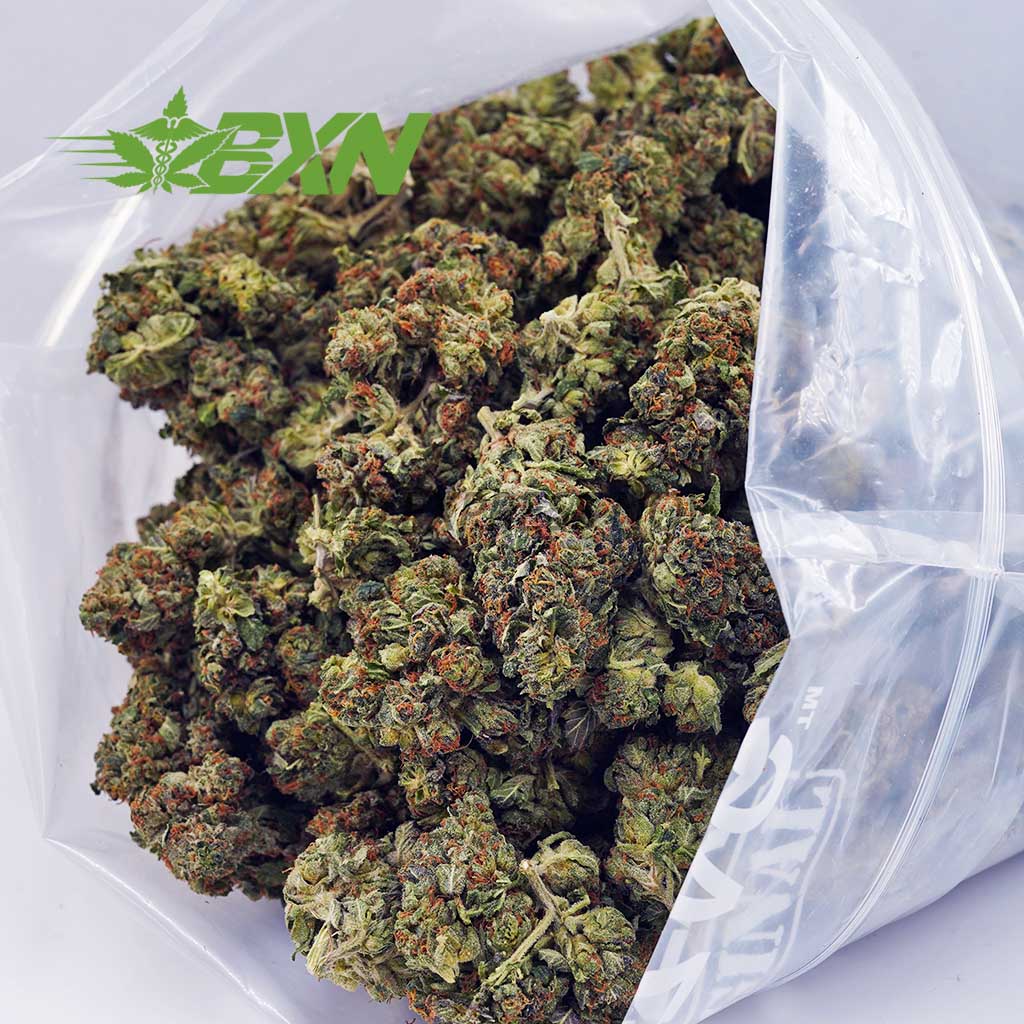 Buy El Jefe AA at BudExpressNOW Online Shop