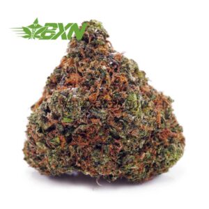 Buy Cookies Kush AA at BudExpressNOW Online Shop