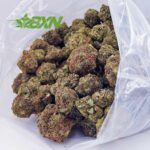 Buy Cookies Kush AA at BudExpressNOW Online Shop