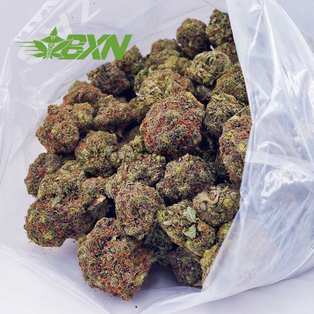 Buy Cookies Kush AA at BudExpressNOW Online Shop