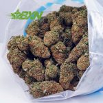 Buy Kali Mist AA at BudExpressNOW Online Shop