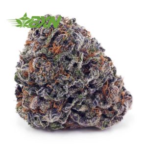 Buy Granddaddy Purple AAAA at BudExpressNOW Online Shop