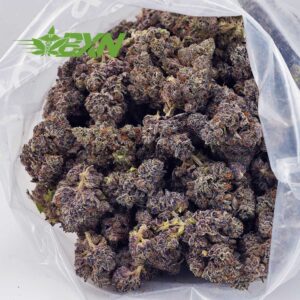 Buy Chocolate Kush AAAA at BudExpressNOW Online shop