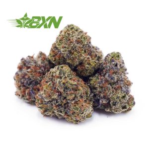 Buy Kush Mintz AAAA (Popcorn) at BudExpressNOW Online Shop