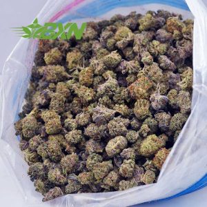Buy Kush Mintz AAAA (Popcorn) at BudExpressNOW Online Shop