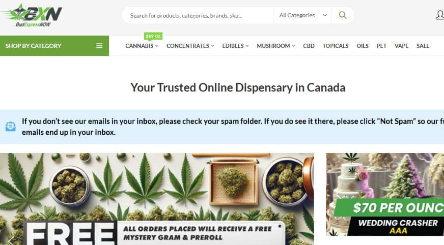 If you're looking for BC weed with high cannabinoid and terpene content, you can buy weed online in Canada from here. Flower starts from just $5, and shipping on orders over $150 is free.