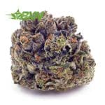 Buy Master Tuna AAAA at BudExpressNOW Online Shop