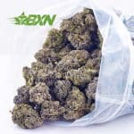 Buy Master Tuna AAAA at BudExpressNOW Online Shop