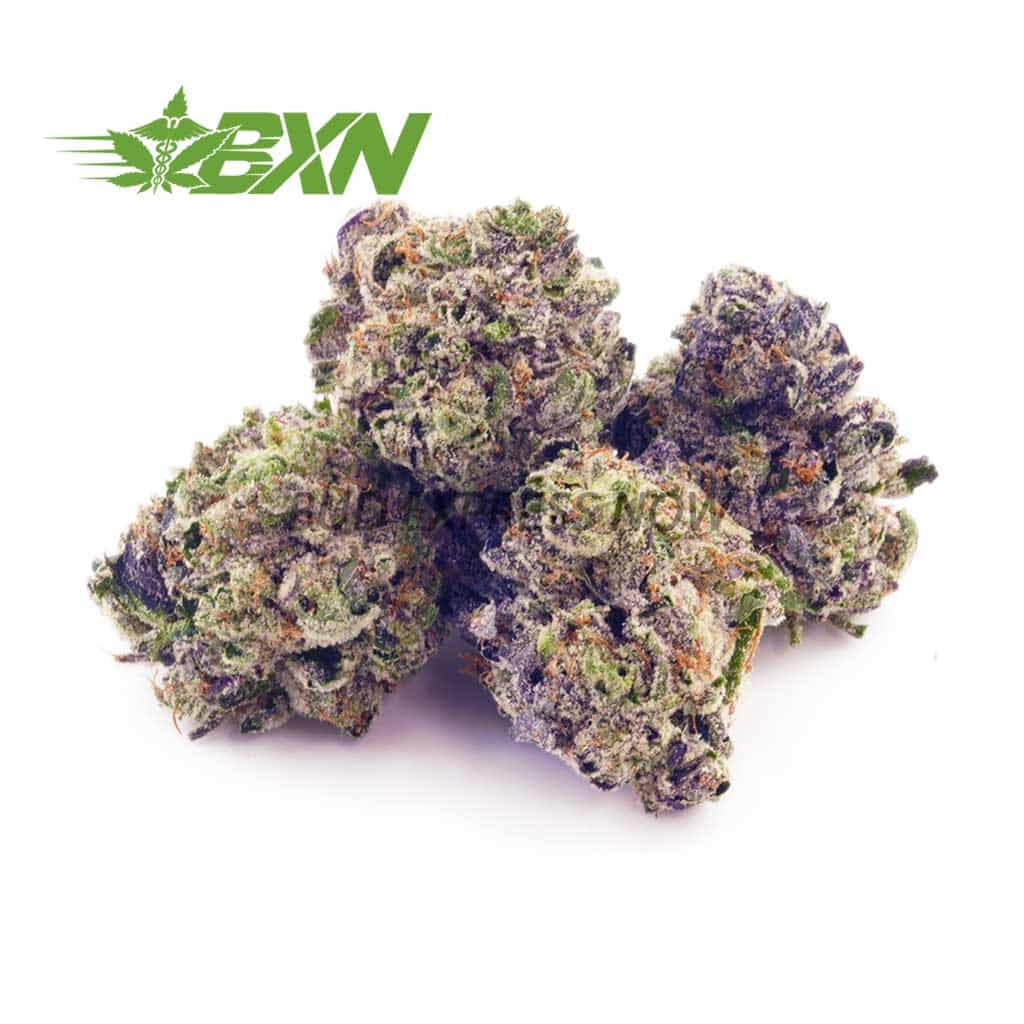 D583A1-LEMONMINTZPOPCORN-BXN Buy Lemon Mintz AAAA (Popcorn) at BudExpressNOW Online Shop.