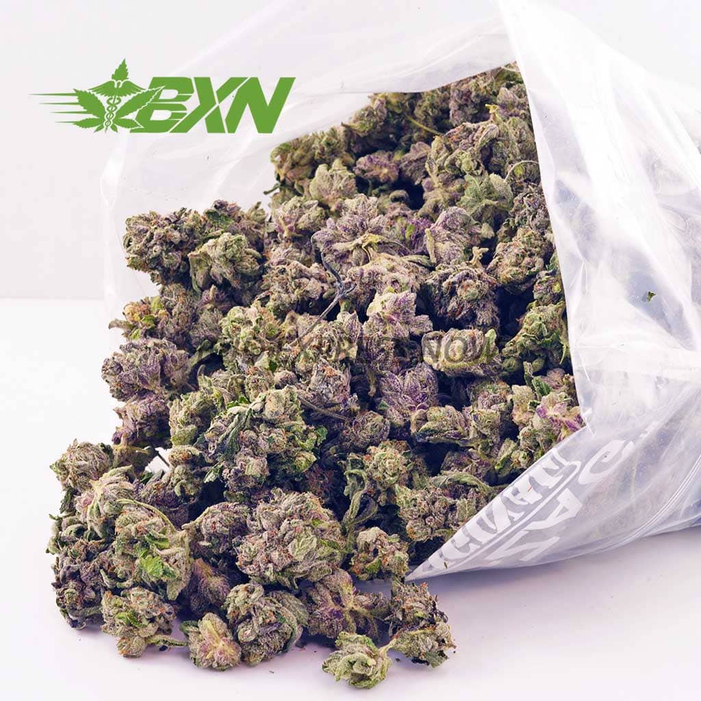 D583A2-LEMONMINTZPOPCORN-BXN