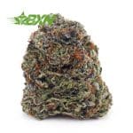 Buy Pink Rockstar AA at BudExpressNOW Online Shop.