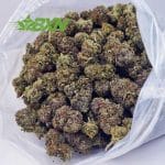 Buy Pink Rockstar AA at BudExpressNOW Online Shop.