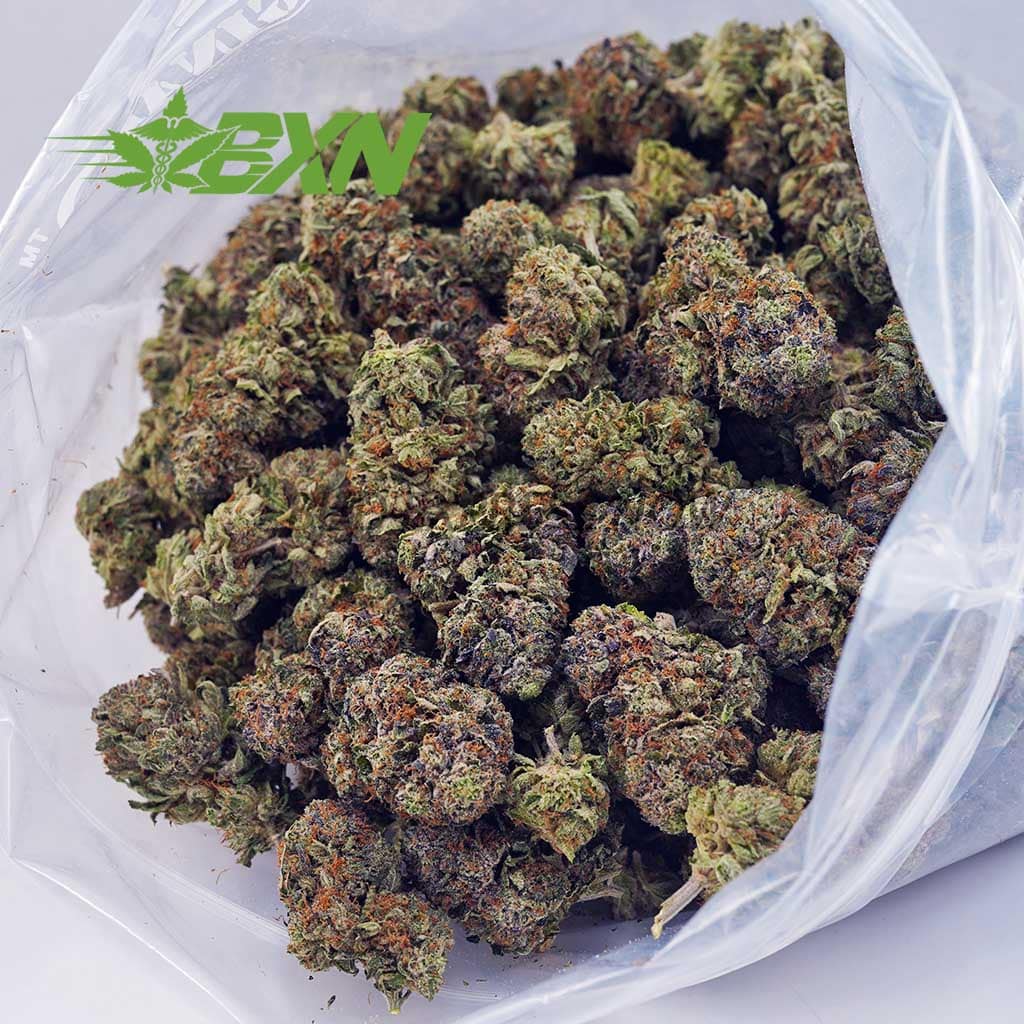 Buy Pink Rockstar AA at BudExpressNOW Online Shop.