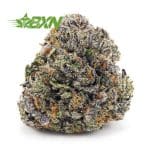 Buy Mendocino Purps AAAA at BudExpressNOW Online shop