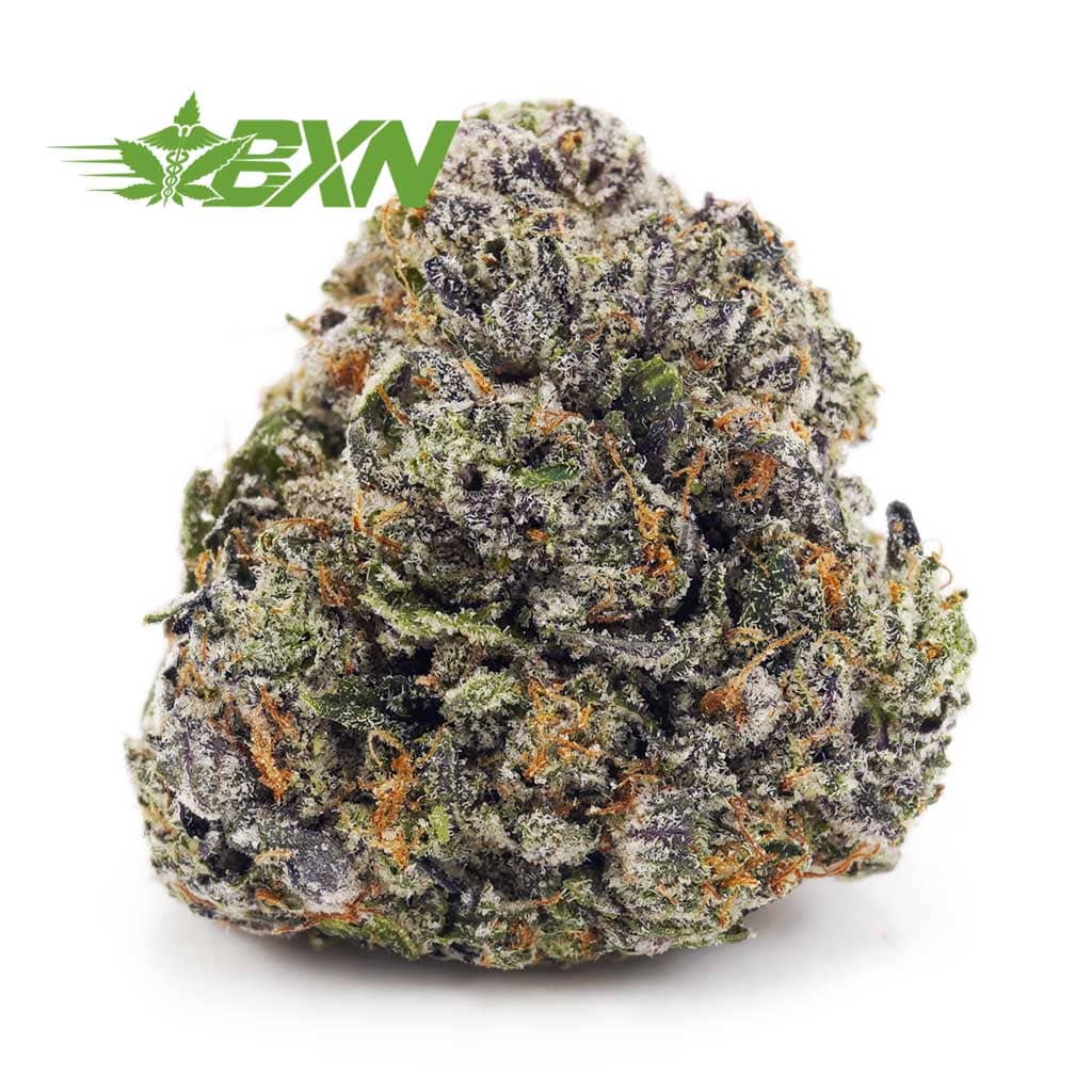 Buy Mendocino Purps AAAA at BudExpressNOW Online shop