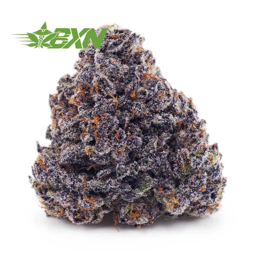 Buy Bruce Banner (Craft) at BudExpressNOW Online Shop