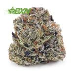 Buy Platinum OG AAAA at BudExpressNOW Online Shop