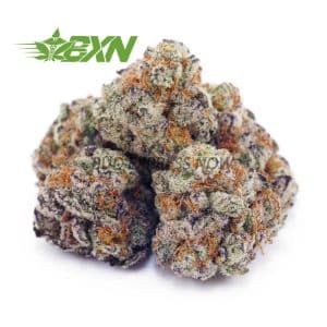 Buy Frosted Gumbo AAAA (Popcorn) at BudExpressNOW Online Shop