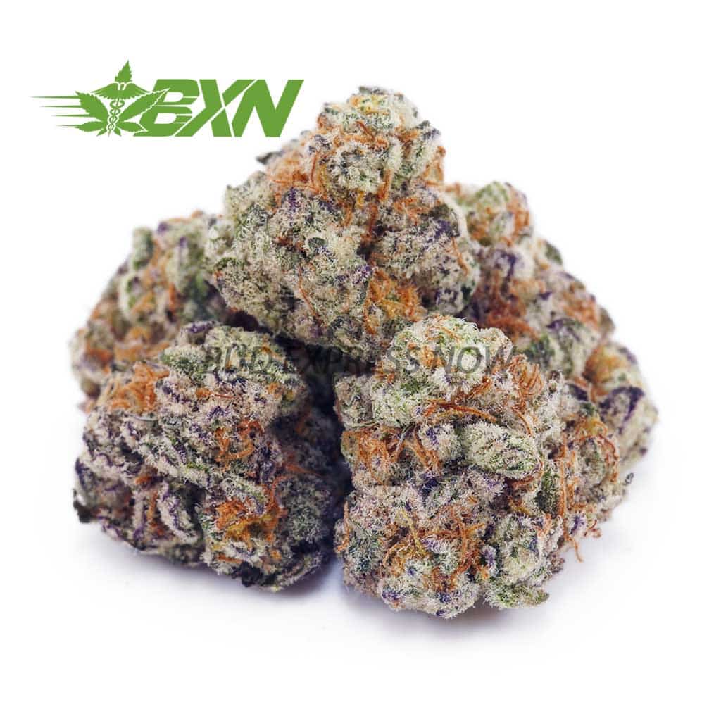 Buy Frosted Gumbo AAAA (Popcorn) at BudExpressNOW Online Shop