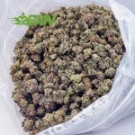 Buy Frosted Gumbo AAAA (Popcorn) at BudExpressNOW Online Shop