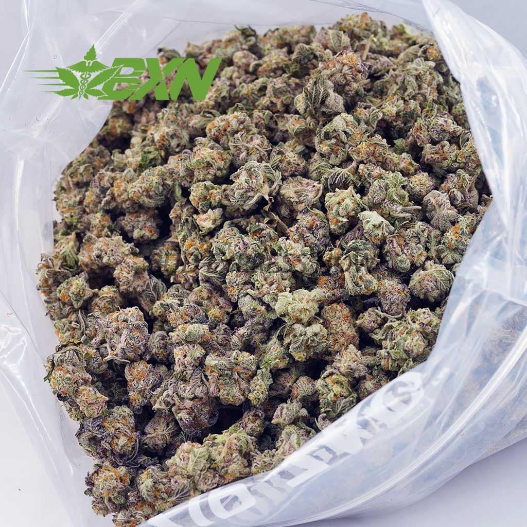 Buy Frosted Gumbo AAAA (Popcorn) at BudExpressNOW Online Shop