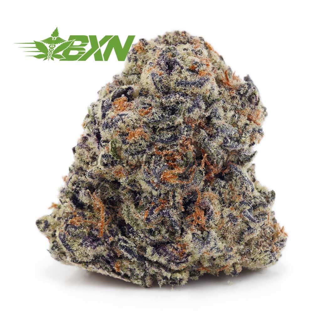 Buy Black Panther AA at BudExpressNOW Online Shop