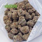 Buy Black Panther AA at BudExpressNOW Online Shop