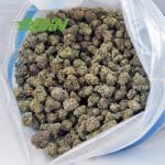 Buy White Death AAAA (Popcorn) at BudExpressNOW Online Shop.