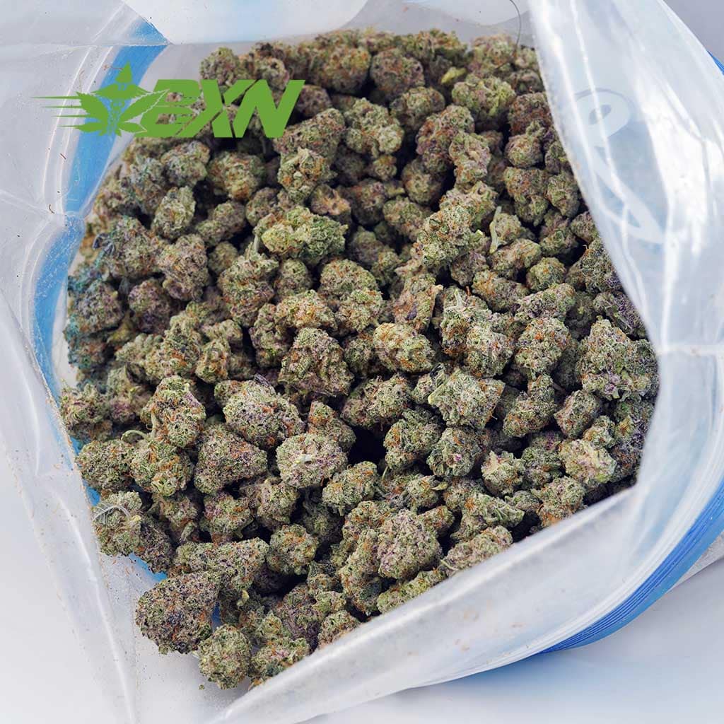 Buy White Death AAAA (Popcorn) at BudExpressNOW Online Shop.