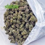 Buy High Octane AAAA (Popcorn) at BudExpressNOW Online