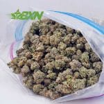 Buy Do Si Punch AAAA (Popcorn) at BudExpressNOW Online Shop.