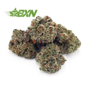 Buy NYC Cheesecake AAAA (Popcorn) at BudExpressNOW Online Shop