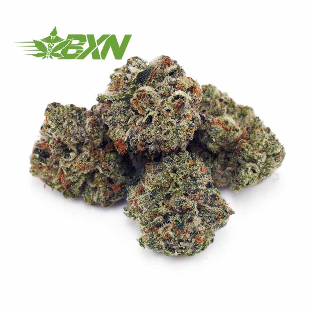 D794A1-NYCCHEESECAKEPOPCORN-BXN Buy NYC Cheesecake AAAA (Popcorn) at BudExpressNOW Online Shop