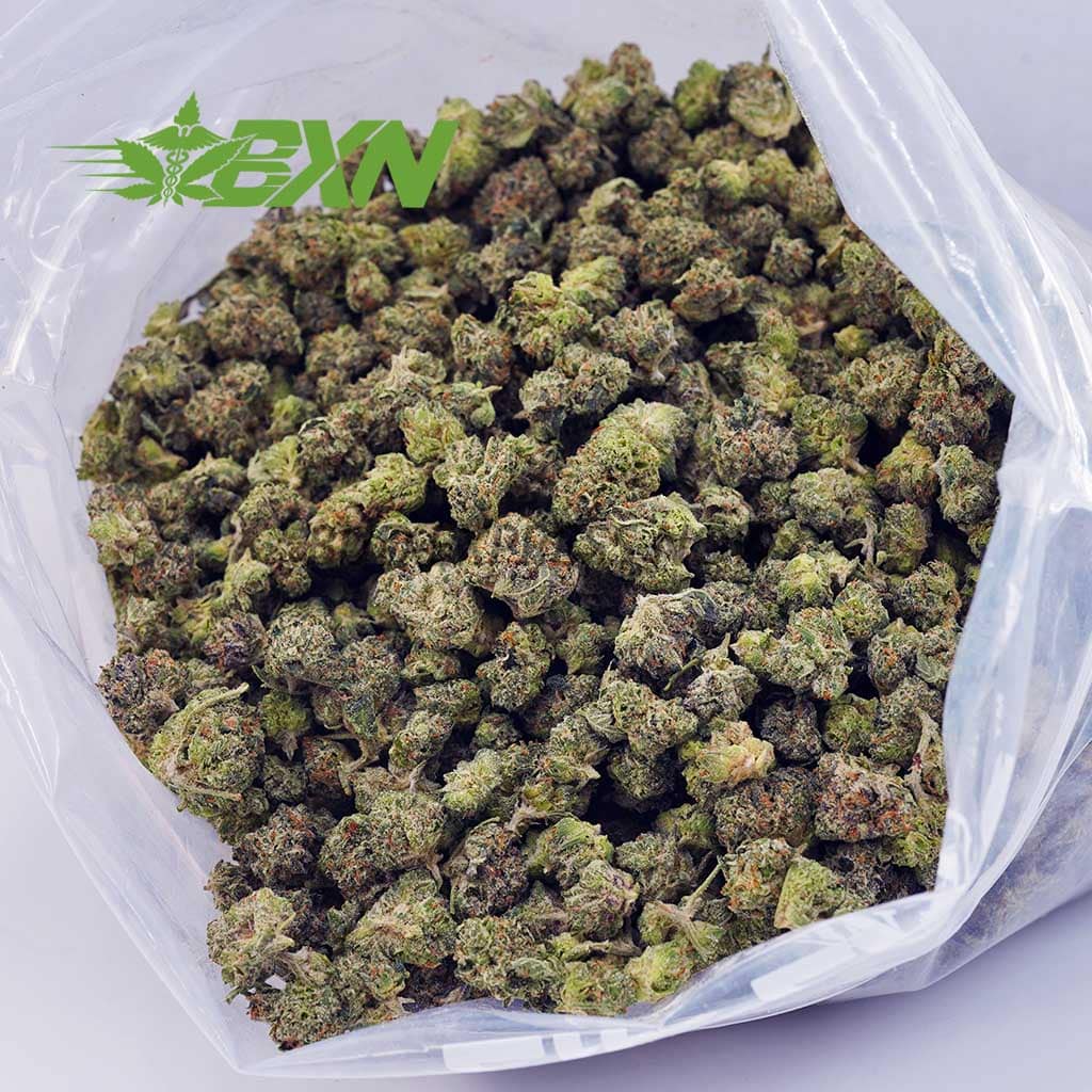 D794A2-NYCCHEESECAKEPOPCORN-BXN Buy NYC Cheesecake AAAA (Popcorn) at BudExpressNOW Online Shop