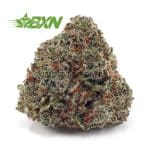 Buy Super Silver Haze AAA at BudExpressNOW Online