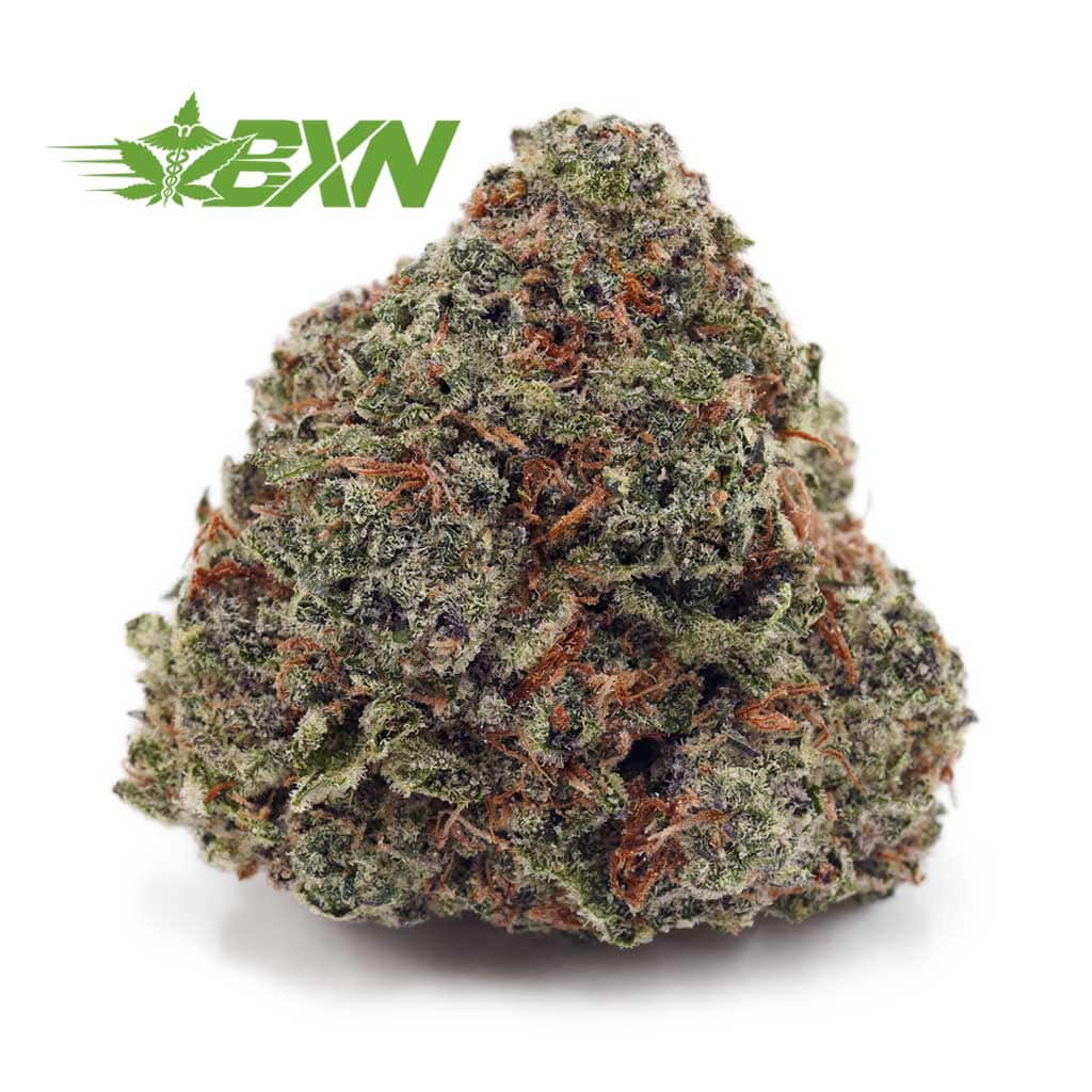 Buy Super Silver Haze AAA at BudExpressNOW Online