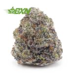 Buy Bacio Gelato (Craft) at BudExpressNOW Online Shop