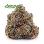 Buy Rainbow Kush AA at BudExpressNOW Online Shop