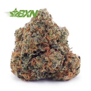 Buy Rainbow Kush AA at BudExpressNOW Online Shop