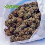 Buy Rainbow Kush AA at BudExpressNOW Online Shop
