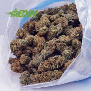 Buy Rainbow Kush AA at BudExpressNOW Online Shop